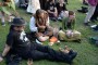 Thumbs/tn_Donderdag Castlefest 2015 024.jpg